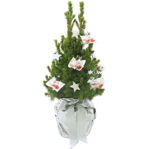 Kristall-Bäumchen 35-45 cm