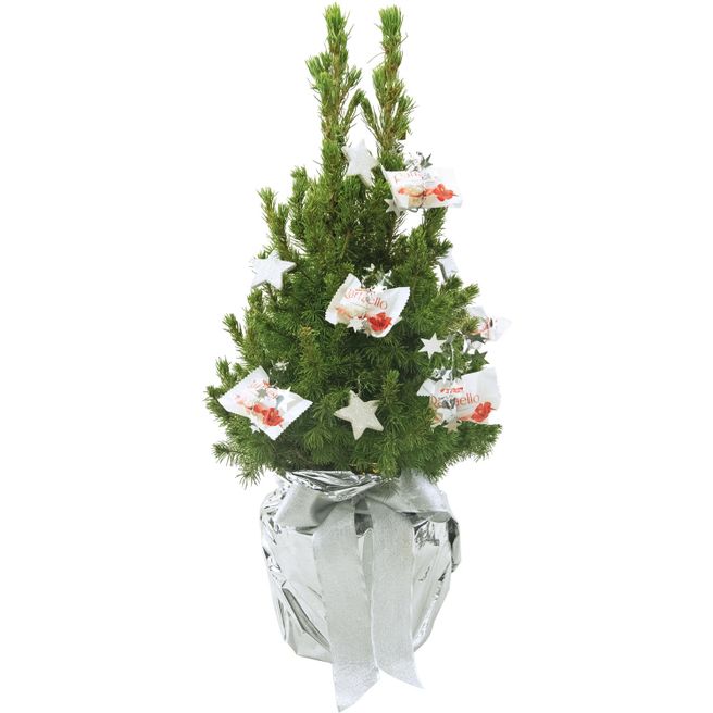 Produktabbildung Kristall-Bäumchen 35-45 cm Kristall-Bäumchen 35-45 cm