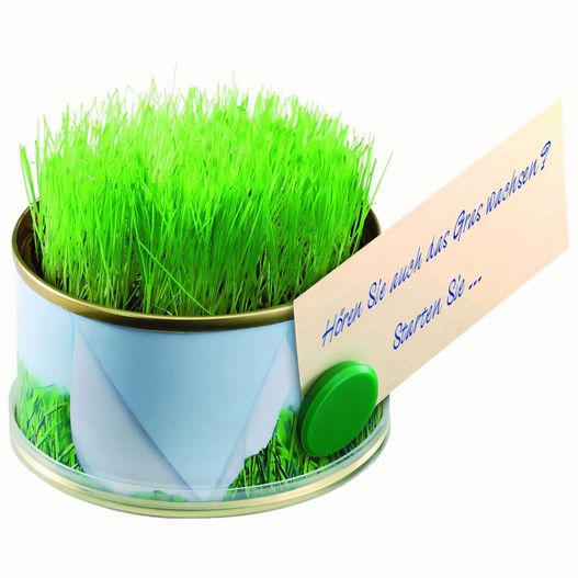 ein zinn mit einer pflanze darin und einer darauf angebrachten note Minigarten Gras mit Magnet (Bild 1)