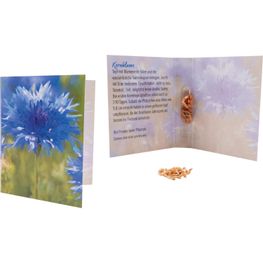 Samenkapsel Blütenpracht