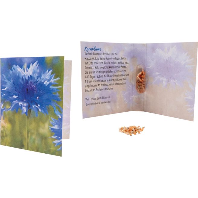 Produktabbildung Samenkapsel Blütenpracht Samenkapsel Blütenpracht