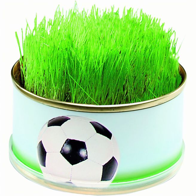 Produktabbildung Zimmer-Arena Zimmer-Arena