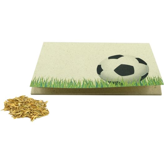 ein fußballball sitzt auf einer karte Graspapier-Kärtchen Sportplatz (Bild 1)