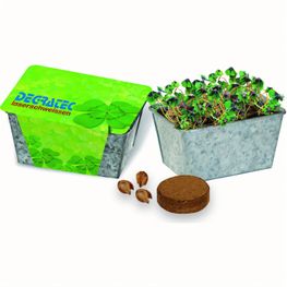 Produktabbildung Glücks-Kästchen Glücks-Kästchen