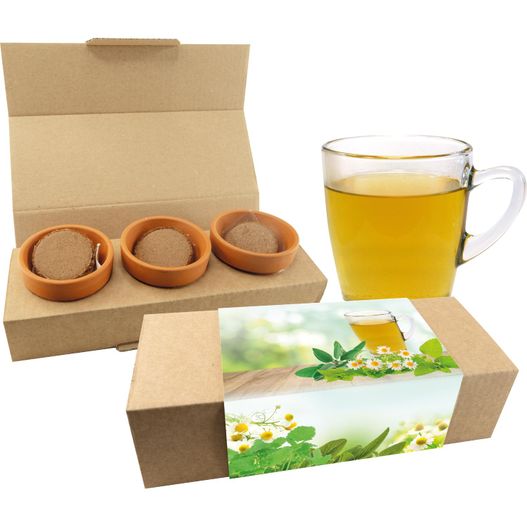 eine schachtel tee und eine tasse tee Tee-Garten (Bild 1)