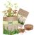 Natur-Bag Weihnachtskräuter (Bild 2)