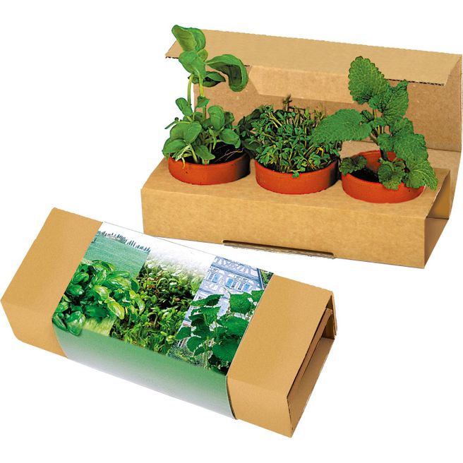 Produktabbildung Kräuter-Trio Kräuter-Trio