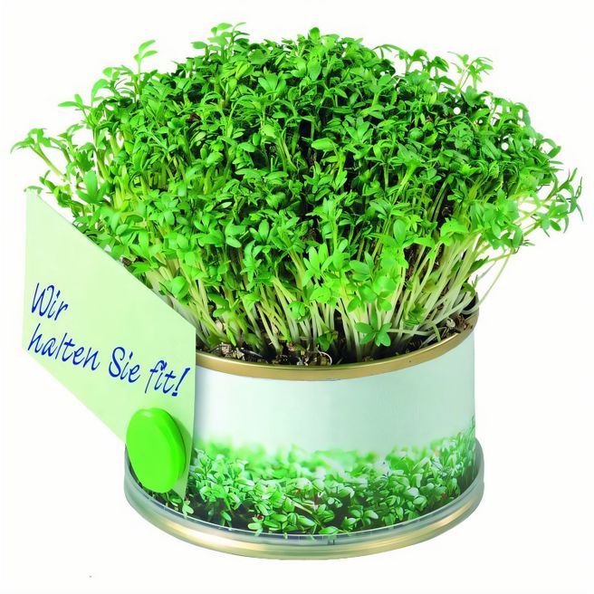 Produktabbildung Minigarten Kräuter mit Magnet Minigarten Kräuter mit Magnet