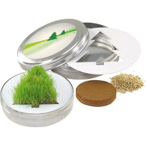 Wachsender Tannenbaum