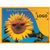 Samen-Briefkarte Sonne 115 x 156 mm (Bild 2)