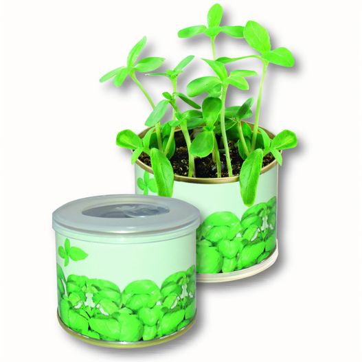 Kräuter-Dose (Bild 1)