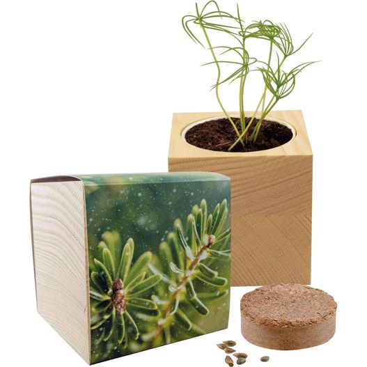 eine pflanze in einer holzbox neben einer kleinen box Großer Natur-Würfel Fichte (Bild 1)