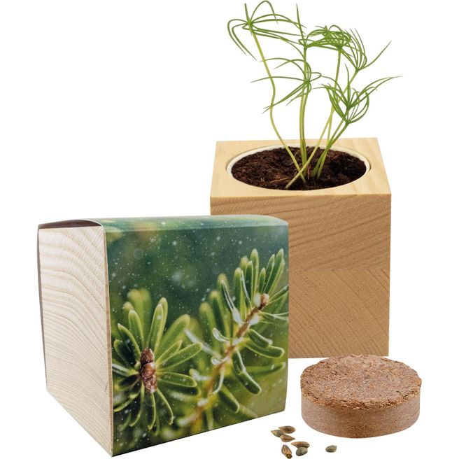 Großer Natur-Würfel Fichte