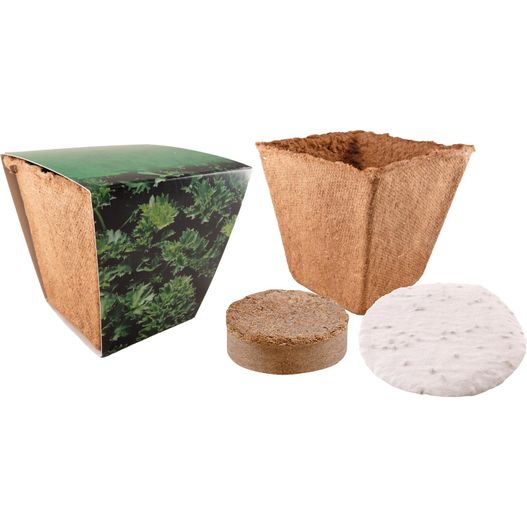 Produktabbildung Kräuter Starter Kit Kräuter Starter Kit (Bild 1)