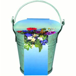 Zinkeimerchen Bunte Blumenmischung