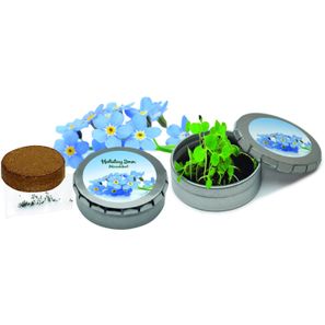 Pflanzdöschen Vergiss-mein-nicht