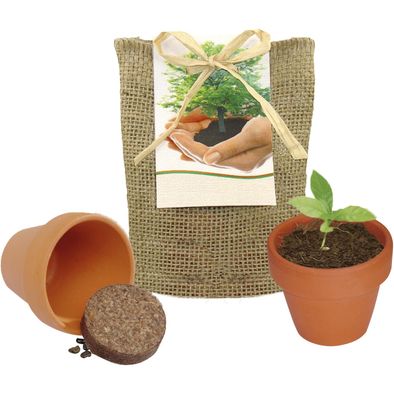 Produktabbildung Pflanze Deinen Baum kleines Natur-Säckchen Pflanze Deinen Baum kleines Natur-Säckchen