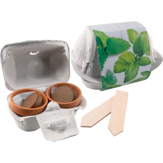 Wachstumsduett Kräuter (Bild 1)