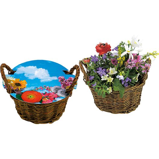 zwei körbe mit blumen und einer platte auf ihnen Weiden Körbchen blühendes Wachstum (Bild 1)