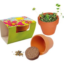 Produktabbildung Tontöpfchen Bienen-Snack Tontöpfchen Bienen-Snack