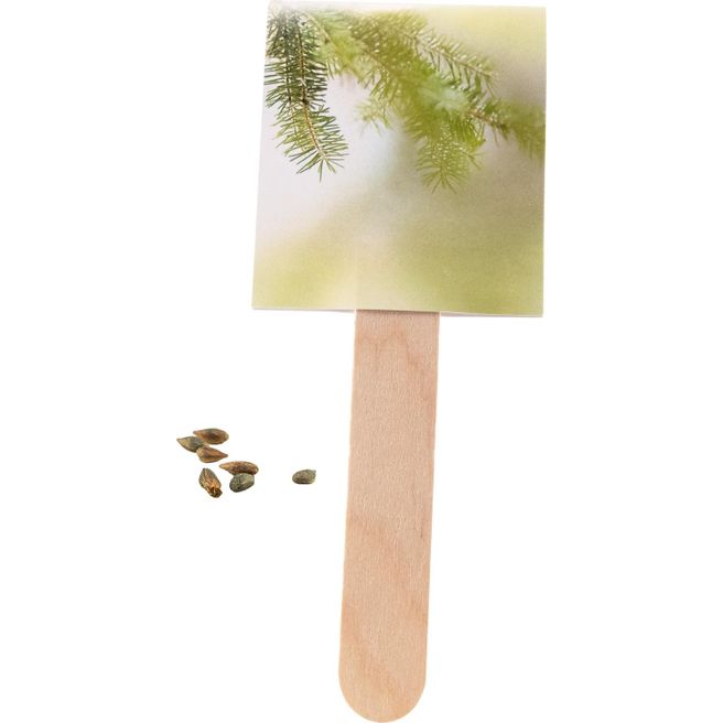 Wachsender Weihnachtsgruß