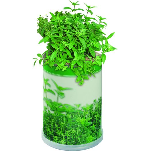 Blumendose Power (Bild 1)