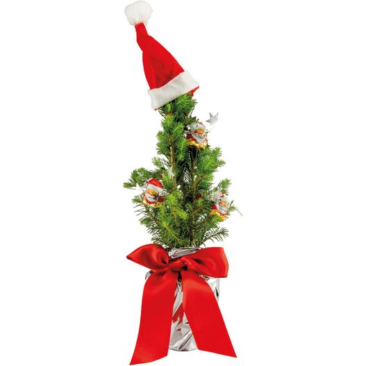 ein weihnachtsbaum mit einem roten hut oben Nikolaus-Bäumchen 20-30 cm (Bild 1)
