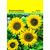 Samentütchen Zwergsonnenblume 82 x 114 mm