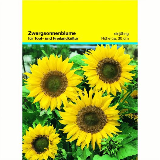 Samentütchen Zwergsonnenblume 82 x 114 mm (Bild 1)