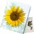 Klappkärtchen Sonne (Bild 1)