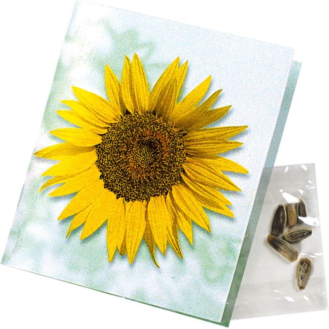 Klappkärtchen Sonne