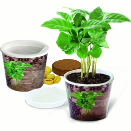 Coffee 2Grow