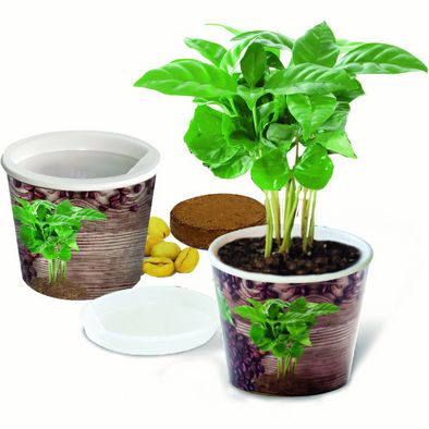 Produktabbildung Coffee 2Grow Coffee 2Grow