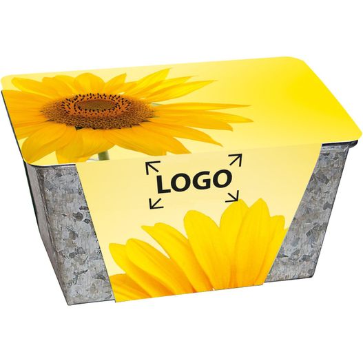 eine box mit einem sonnenblumen drauf Wachstums-Kästchen Sonne (Bild 1)