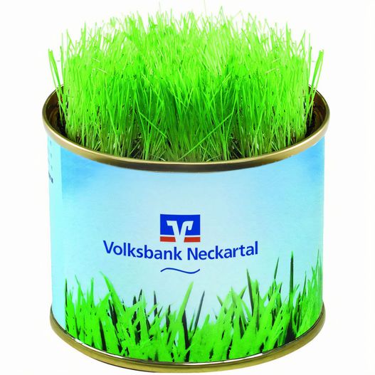 Grüne-Oase-Dose (Bild 1)