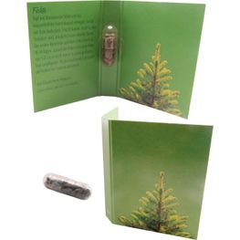Produktabbildung Samenkapsel Weihnachtsbaum Samenkapsel Weihnachtsbaum