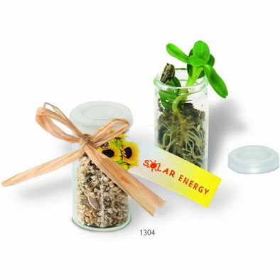 Produktabbildung Mini-Glasshouse Sonne Mini-Glasshouse Sonne