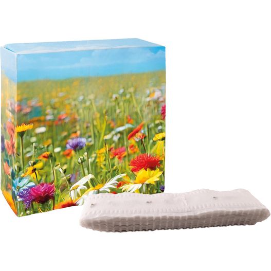 Meterweises Wachstum Blütenmeer (Bild 1)