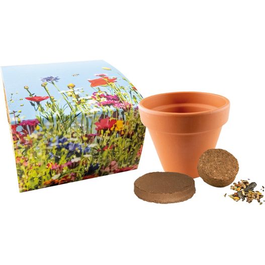 ein blumentopf und eine keksbox mit einem blumentopf Bienen-Festmahl (Bild 1)