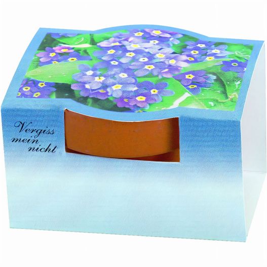 eine box mit einem bild von einem blumenstrauß Tontöpfchen Vergiss-mein-nicht (Bild 1)