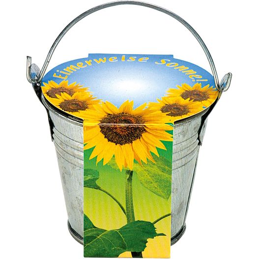 ein eimer mit einem sonnenblumen-design auf ihm Zinkeimerchen Zwergsonnenblume (Bild 1)