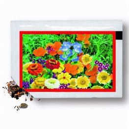 Samentütchen bunte Blumenmischung 80 x 55 mm