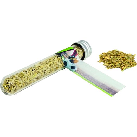 eine flasche getrockneter samen und ein rohr getrockneter samen Reagenzglas Sportplatz (Bild 1)