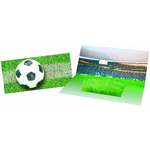 Mini-Arena Karte (Bild 1)