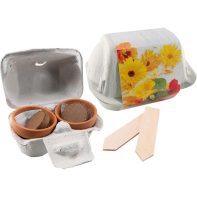 Produktabbildung Wachstumsduett Essbare Blüten Wachstumsduett Essbare Blüten