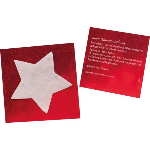 Produktabbildung Samenpapier-Kärtchen Stern Samenpapier-Kärtchen Stern (Bild 1)