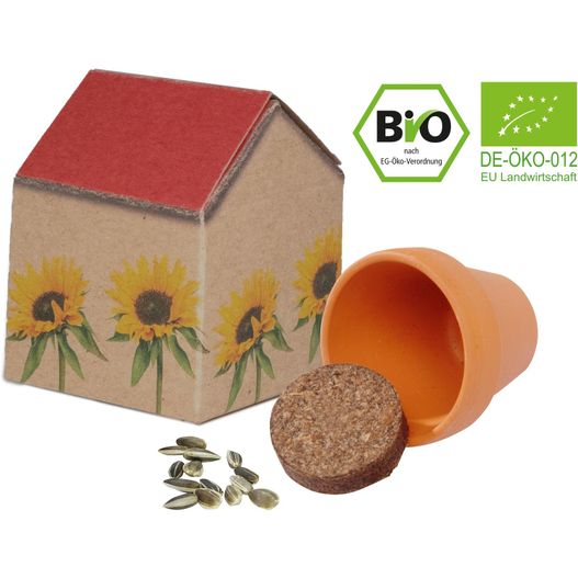 ein kleines haus mit einer box und sonnenblumen Natur-Häuschen Sonne (Bild 1)