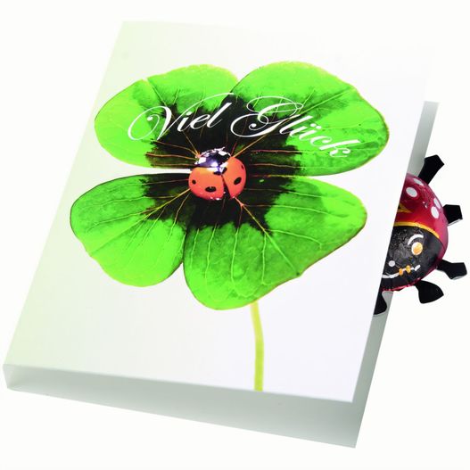 ein ladybug sitzt auf ein blatt mit ein ladybug auf sie Klappkärtchen Glückskäfer (Bild 1)