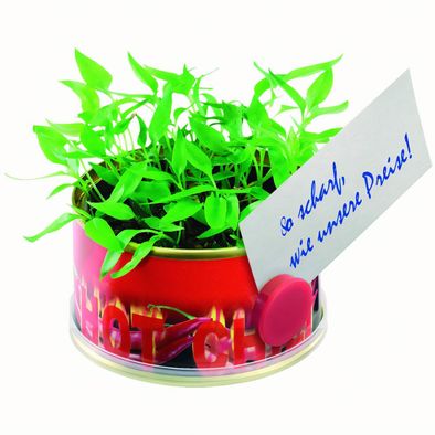 Produktabbildung Minigarten Hot mit Magnet Minigarten Hot mit Magnet