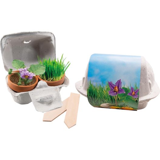 Produktabbildung Wachstumsduett Ostern Wachstumsduett Ostern (Bild 1)